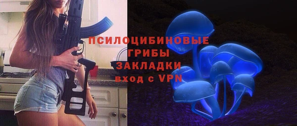 мдпв Балахна