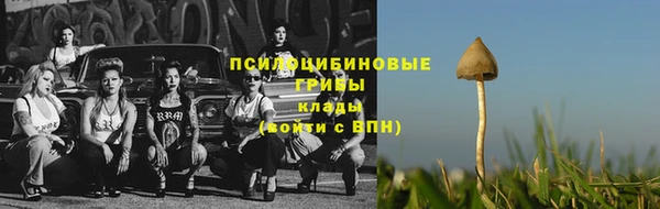 винт Баксан