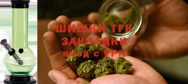 ПСИЛОЦИБИНОВЫЕ ГРИБЫ Балабаново