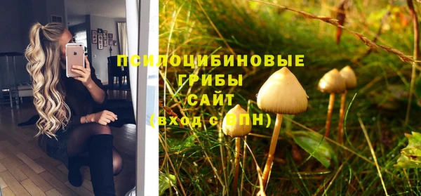 винт Баксан