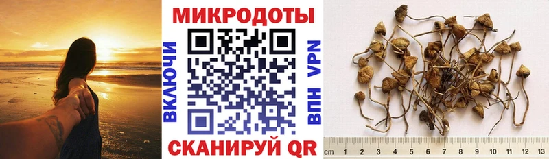 Купить  Пошехонье  Галлюциногенные грибы мухоморы 